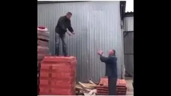 ویندوزش پرید
