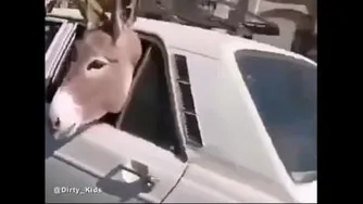 افرادی که در این روزا مسافرت می روند #کرونا