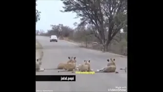 ورودی شهر خرم آباد
