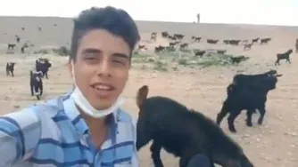 موسیقی آواز