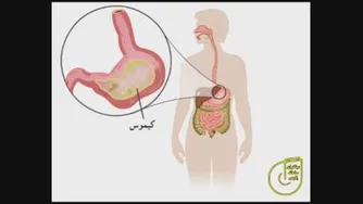 بدن ما