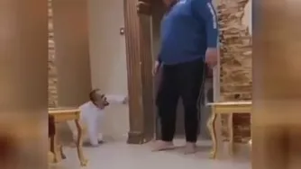خنده دار 😀