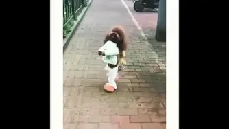 بچست یا ..😂😂