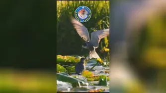 موسیقی بسیار زیبا..زندگی بدون عشق معنا ندارد