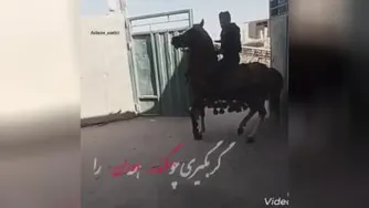زیباترین کلیپ سال حتما ببینید