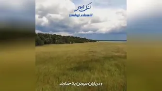 جمله های نورانی طلایی بسیار زیبا از حضرت علی علیه السلام.