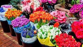 کار زیبای شهرداری اصفهان در آستانه نوروز 1400