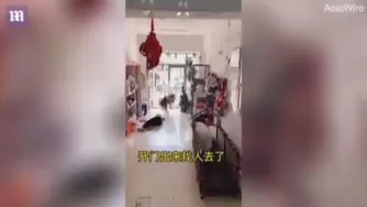 کلیپی پر بازدید، که این هفته از چین بسیار مورد توجه قرار گرفت..