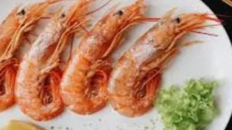 لطفا ب صدا گوش بدید