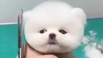 دلت براش ضعف و غش میره