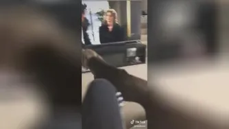 یکی این سگ رو قایم کنه !!