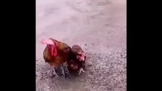 عشق فقط این لحظه