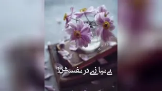 کلیپ التماس دعا برای شب قدر