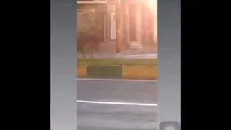 حمله گاومیش