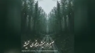 جنگل ها