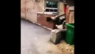 اگه تونستی نخند