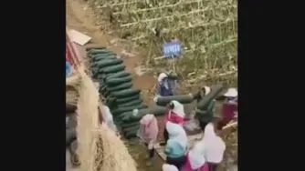 خیار های اونا!!! 😂😂😂😯