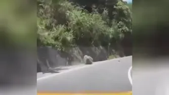 ریزش خطرناک کوه، خدا رحمشون کرد😱
