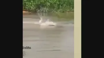 جنگیدن