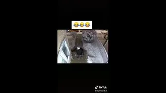 با فیلم چی کلیپهای خنده دار و عالی ببینید