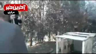 فیلم کشته شدن یک کارگر توسط شیر در باغ وحش اراک