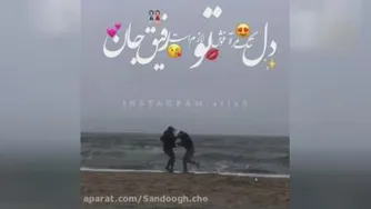 رفیق