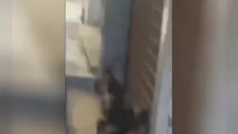 سوژه ی ناب