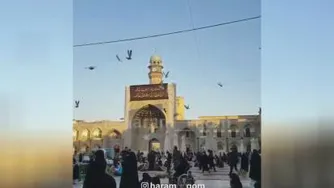 فراموش نشه امام رضا