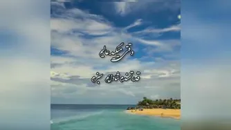 تلاش کن