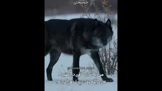 اره اینجوریاست