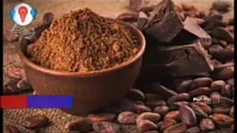 پرورش و تولید کاکائو گلخانه ای
