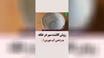 روش کاشت سیردرخانه😍😻💙