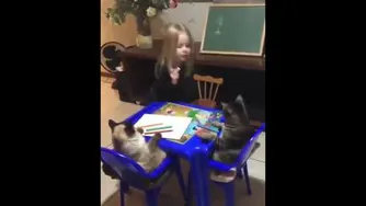 داره به گربه ها درس میده😂😂