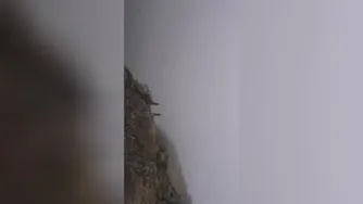 کلیپ عروس و داماد