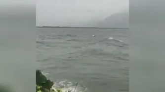 طبیعت