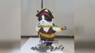 دیجی پیشی 😁😁😁😁
