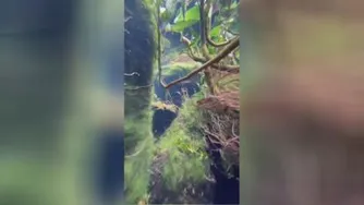 اینجوری حرفه ای فیلمبرداری کن 😁😁