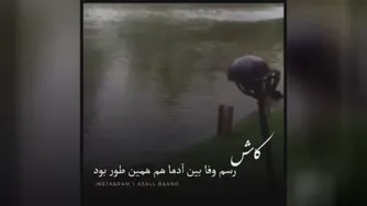 کاش رسم وفارو از حیوونا یاد بگیریم ❤❤