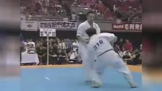 Best Kyokushin Karate "KO" in History