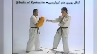 هدف از میت زنی... (زدن ضربات به میت در ورزش رزمی)