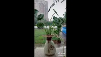 آرامش😄
