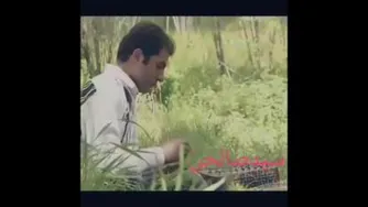 اَی بلیط ریشه دارم...