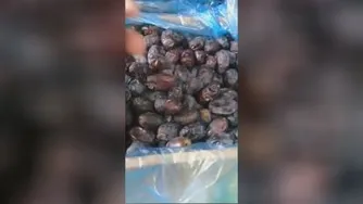 خرید خرما در شیراز