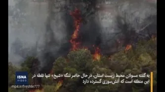 آتش‌سوزی در جنگل‌های کهگیلویه و بویراحمد همچنان ادامه دارد