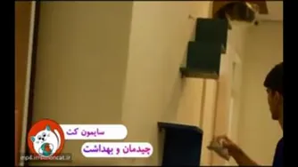 نظافت و نگهداری از پانسیون گربه‌ها