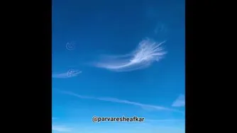 شکر گزاری نعمت بسیار خوب