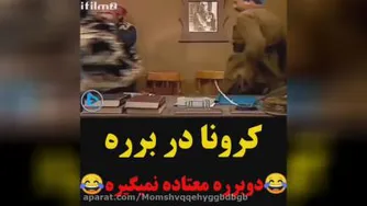 کرونا در برره