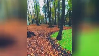 نیازمندِ این زاویه از زندگی‌ام با یه لیوان چایِ هم خورده با خیال . .🍃🍃