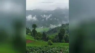 • هوای بارونی و حسِ خوبش ❤️🌿