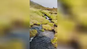 • موسیقی طبیعت 🎼🍀🌿 آرامش